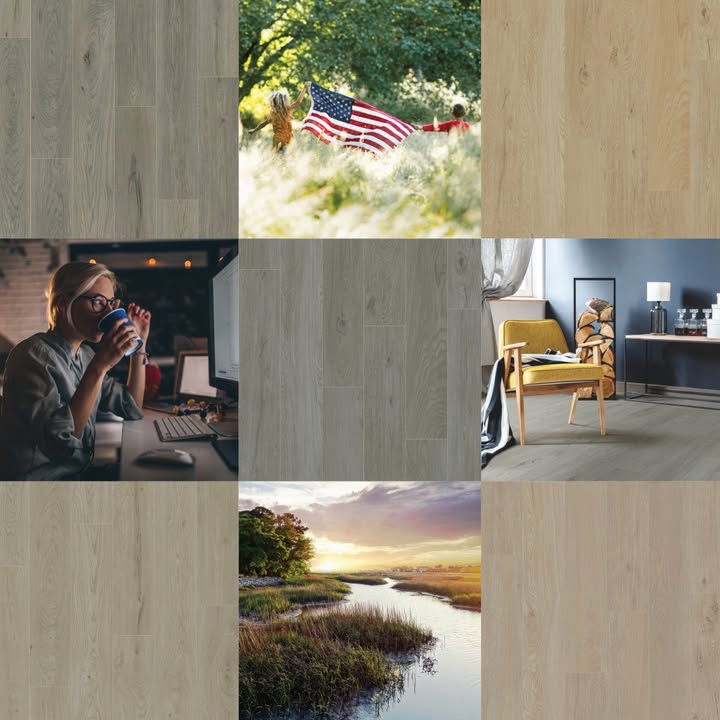 Feed Image